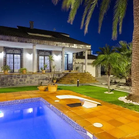 Paradise Palms By Fidalsa